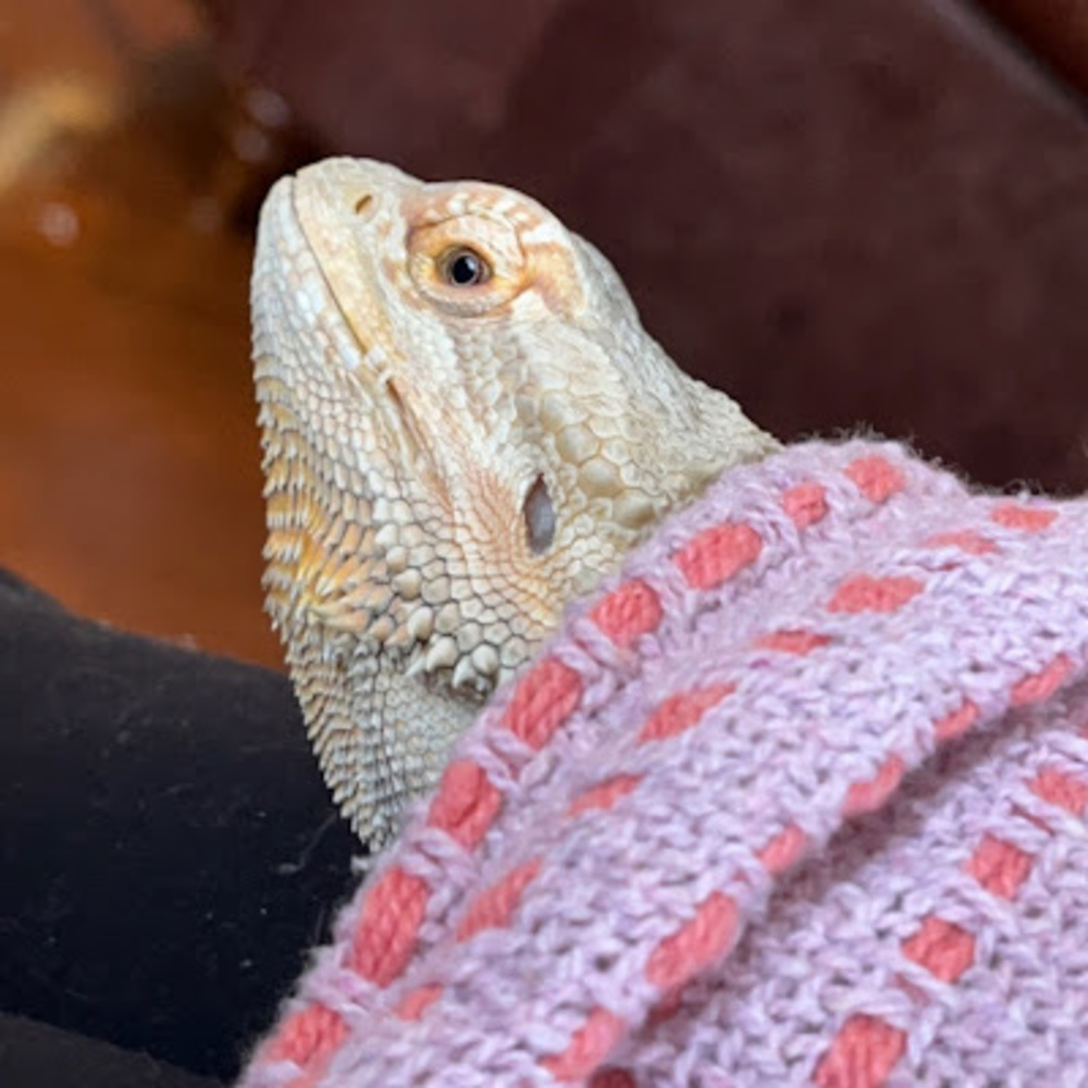 Meet your Posher, Jo